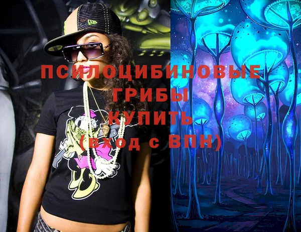 спайс Алзамай