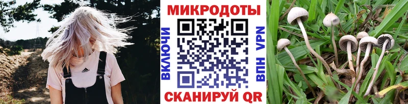 дарк нет официальный сайт  Кола  Галлюциногенные грибы GOLDEN TEACHER 